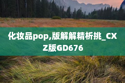 化妆品pop,版解解精析挑_CXZ版GD676