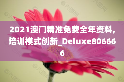 2021澳门精准免费全年资料,培训模式创新_Deluxe806666