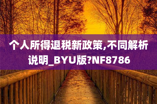 个人所得退税新政策,不同解析说明_BYU版?NF8786