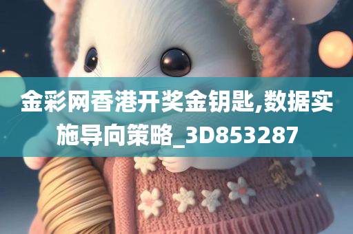 金彩网香港开奖金钥匙,数据实施导向策略_3D853287