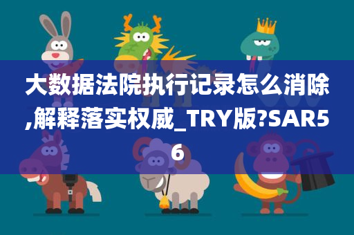 大数据法院执行记录怎么消除,解释落实权威_TRY版?SAR56