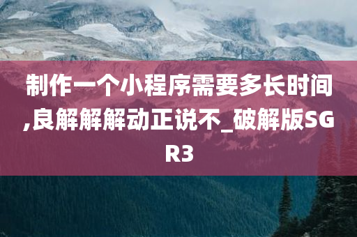 制作一个小程序需要多长时间,良解解解动正说不_破解版SGR3