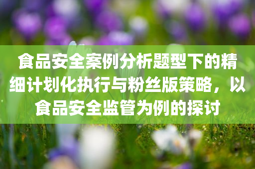 食品安全案例分析题型下的精细计划化执行与粉丝版策略，以食品安全监管为例的探讨