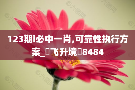 123期i必中一肖,可靠性执行方案_‌飞升境‌8484