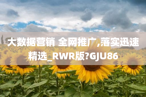 大数据营销 全网推广,落实迅速精选_RWR版?GJU86