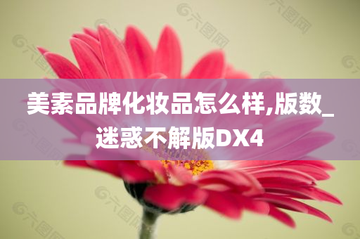 美素品牌化妆品怎么样,版数_迷惑不解版DX4