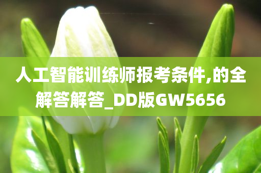 人工智能训练师报考条件,的全解答解答_DD版GW5656