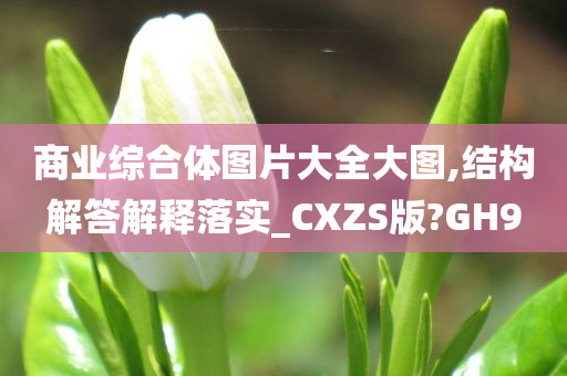 商业综合体图片大全大图,结构解答解释落实_CXZS版?GH9