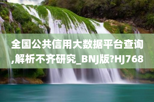 全国公共信用大数据平台查询,解析不齐研究_BNJ版?HJ768