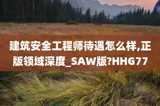 建筑安全工程师待遇怎么样,正版领域深度_SAW版?HHG77