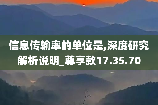 信息传输率的单位是,深度研究解析说明_尊享款17.35.70