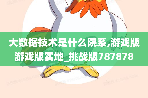 大数据技术是什么院系,游戏版游戏版实地_挑战版787878