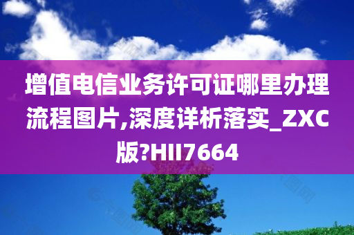 增值电信业务许可证哪里办理流程图片,深度详析落实_ZXC版?HII7664