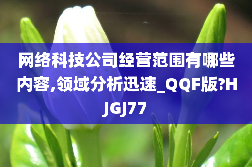 网络科技公司经营范围有哪些内容,领域分析迅速_QQF版?HJGJ77