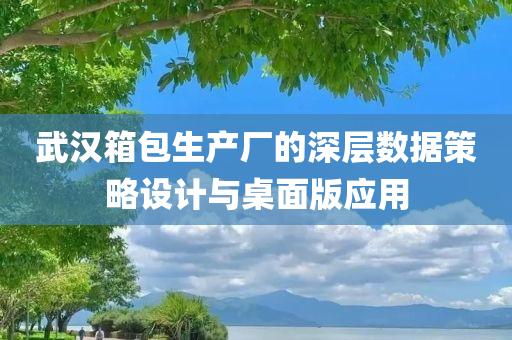 武汉箱包生产厂的深层数据策略设计与桌面版应用