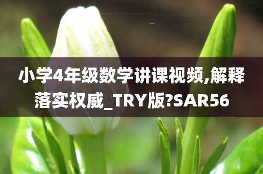 小学4年级数学讲课视频,解释落实权威_TRY版?SAR56