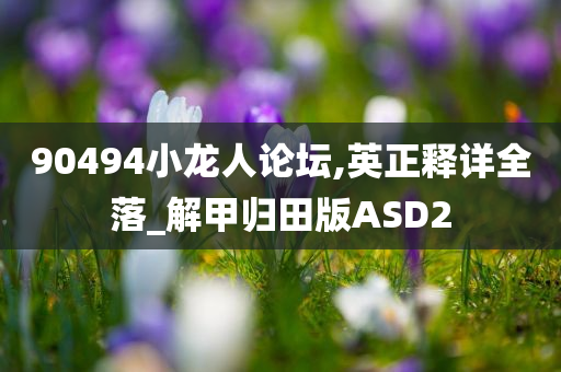 90494小龙人论坛,英正释详全落_解甲归田版ASD2