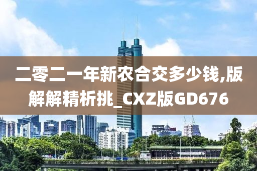 二零二一年新农合交多少钱,版解解精析挑_CXZ版GD676