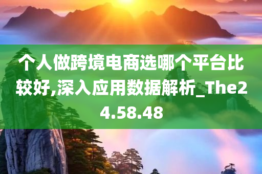 个人做跨境电商选哪个平台比较好,深入应用数据解析_The24.58.48