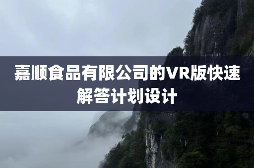 嘉顺食品有限公司的VR版快速解答计划设计