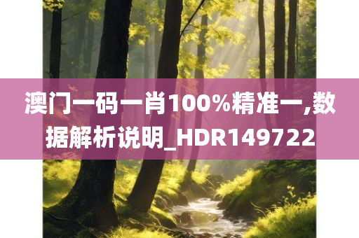 澳门一码一肖100%精准一,数据解析说明_HDR149722