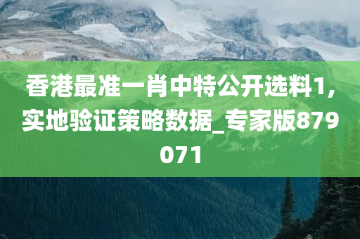 香港最准一肖中特公开选料1,实地验证策略数据_专家版879071