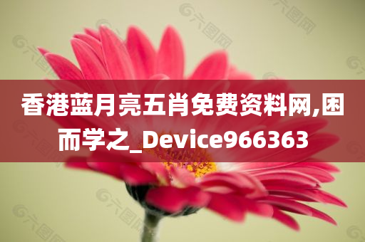 香港蓝月亮五肖免费资料网,困而学之_Device966363