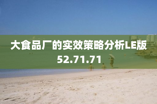 大食品厂的实效策略分析LE版52.71.71