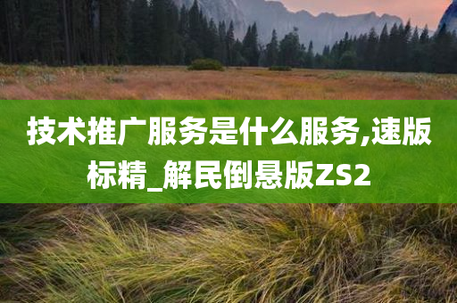 技术推广服务是什么服务,速版标精_解民倒悬版ZS2