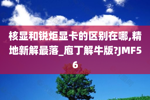 核显和锐炬显卡的区别在哪,精地新解最落_庖丁解牛版?JMF56