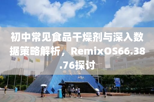 初中常见食品干燥剂与深入数据策略解析，RemixOS66.38.76探讨