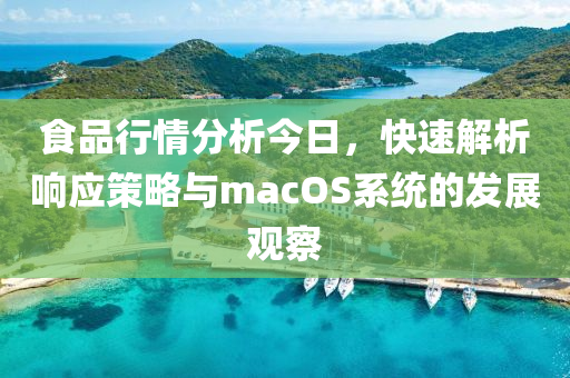 食品行情分析今日，快速解析响应策略与macOS系统的发展观察