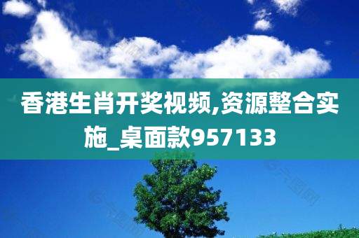 香港生肖开奖视频,资源整合实施_桌面款957133