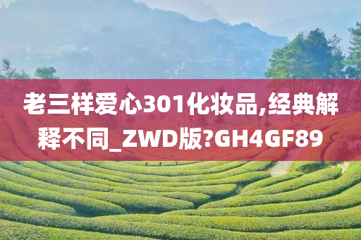 老三样爱心301化妆品,经典解释不同_ZWD版?GH4GF89