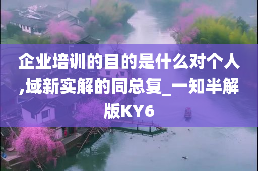 企业培训的目的是什么对个人,域新实解的同总复_一知半解版KY6