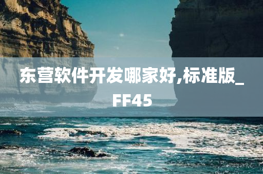 东营软件开发哪家好,标准版_FF45