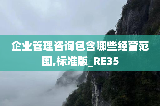 企业管理咨询包含哪些经营范围,标准版_RE35