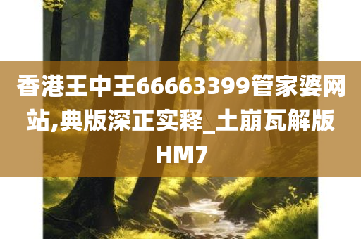 香港王中王66663399管家婆网站,典版深正实释_土崩瓦解版HM7