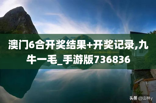 澳门6合开奖结果+开奖记录,九牛一毛_手游版736836