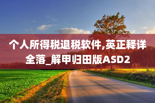 个人所得税退税软件,英正释详全落_解甲归田版ASD2