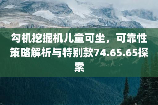 勾机挖掘机儿童可坐，可靠性策略解析与特别款74.65.65探索