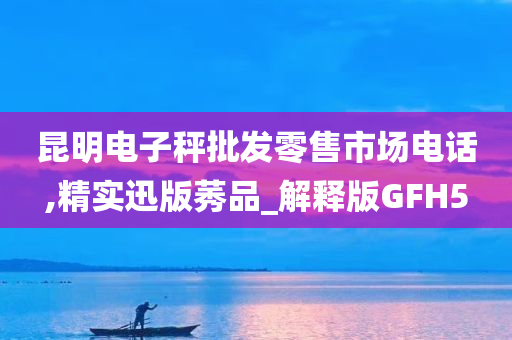 昆明电子秤批发零售市场电话,精实迅版莠品_解释版GFH5