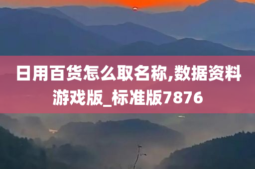 日用百货怎么取名称,数据资料游戏版_标准版7876