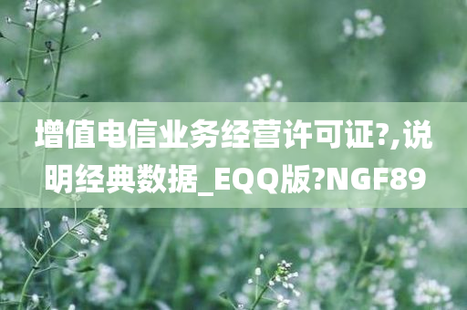 增值电信业务经营许可证?,说明经典数据_EQQ版?NGF89