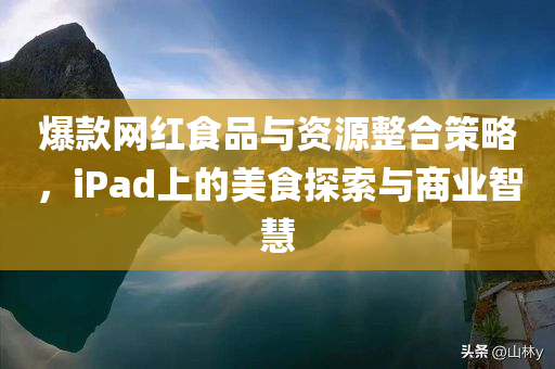 爆款网红食品与资源整合策略，iPad上的美食探索与商业智慧