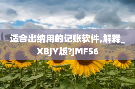 适合出纳用的记账软件,解释_XBJY版?JMF56