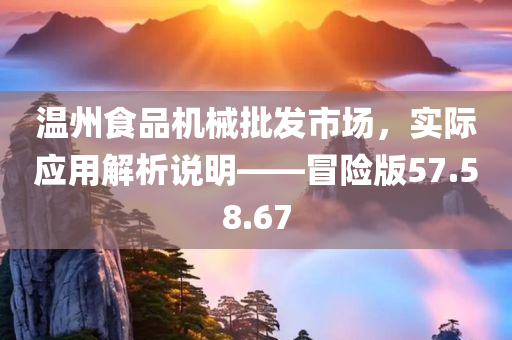 温州食品机械批发市场，实际应用解析说明——冒险版57.58.67