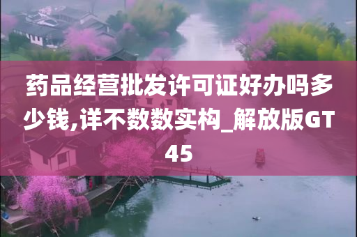 药品经营批发许可证好办吗多少钱,详不数数实构_解放版GT45