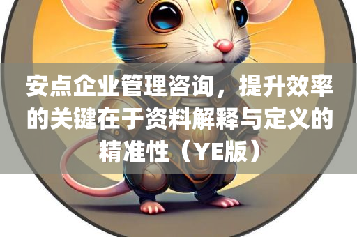 安点企业管理咨询，提升效率的关键在于资料解释与定义的精准性（YE版）