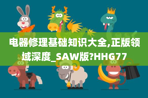 电器修理基础知识大全,正版领域深度_SAW版?HHG77